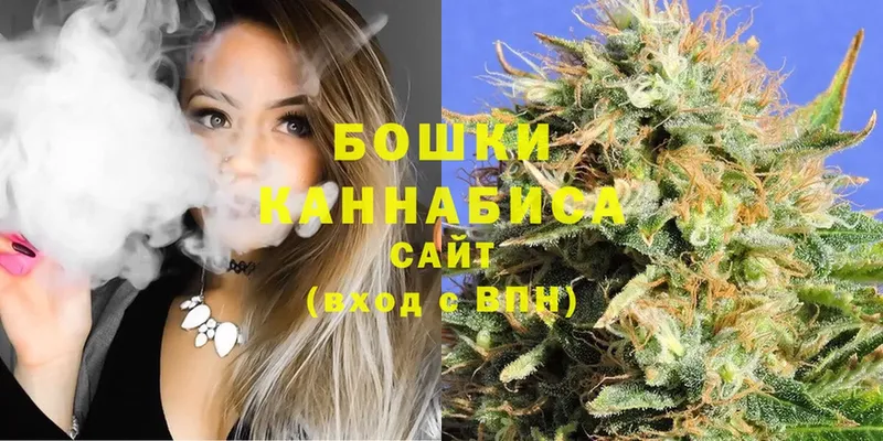 Конопля Ganja  наркота  Гвардейск 